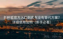 茶杯狐官方入口到底有没有替代方案？详细使用说明（新手必看）