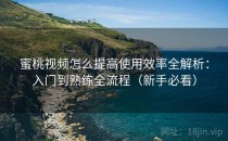 蜜桃视频怎么提高使用效率全解析：入门到熟练全流程（新手必看）