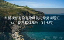 红桃视频有没有隐藏技巧常见问题汇总：使用路线建议（对比后）