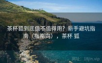 茶杯狐到底值不值得用？新手避坑指南（指南向），茶杯 狐
