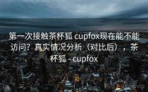 第一次接触茶杯狐 cupfox现在能不能访问？真实情况分析（对比后），茶杯狐 - cupfox