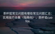 茶杯狐常见问题有哪些常见问题汇总：实用技巧合集（指南向），茶杯狐cuofox