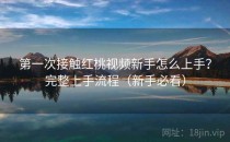 第一次接触红桃视频新手怎么上手？完整上手流程（新手必看）