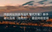 蘑菇网站到底有没有替代方案？新手避坑指南（指南向），蘑菇网络官网