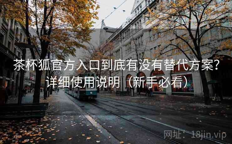 茶杯狐官方入口到底有没有替代方案？详细使用说明（新手必看）  第2张