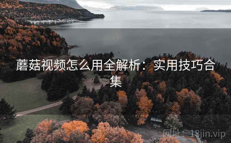 蘑菇视频怎么用全解析：实用技巧合集  第2张