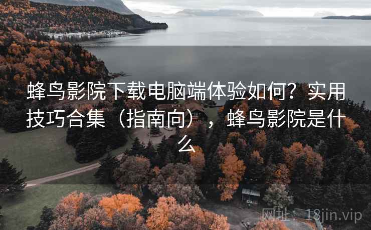 蜂鸟影院下载电脑端体验如何？实用技巧合集（指南向），蜂鸟影院是什么  第1张