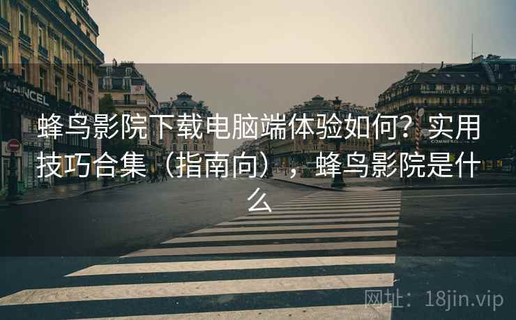 蜂鸟影院下载电脑端体验如何？实用技巧合集（指南向），蜂鸟影院是什么  第2张