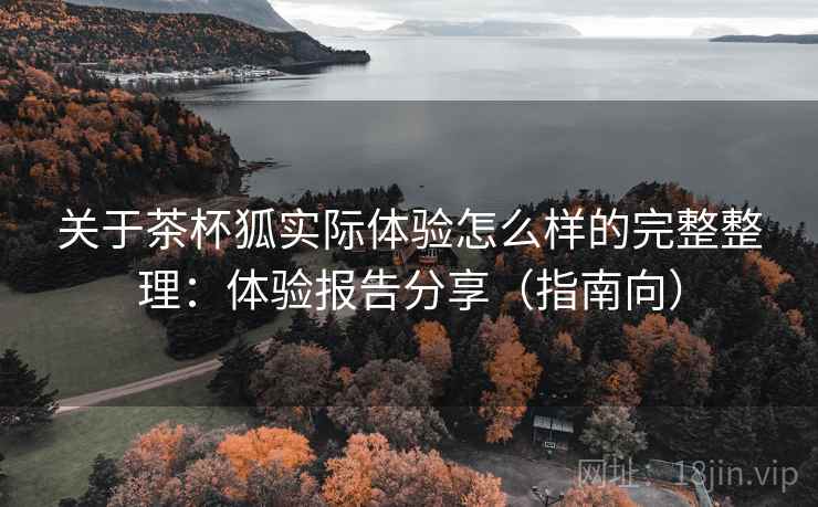 关于茶杯狐实际体验怎么样的完整整理：体验报告分享（指南向）  第1张